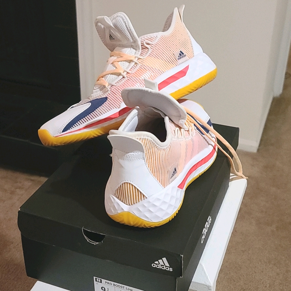 Adidas Pro Boost Low (with box)